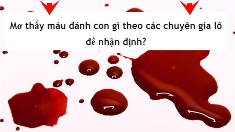 Nếu mơ thấy máu thì nên đánh số mấy? Nếu mơ thấy máu thì nên đánh số mấy?